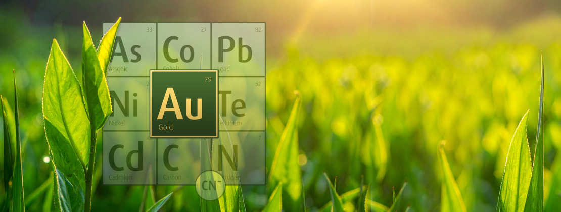 Umicore MDS - AURUNA 3408 - Environmentally friendly hard gold plating - Hard gold electrolyte without hazardous substances