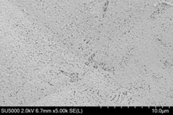 Umicore MDS - PLATUNA - Platinum coating for PTLs in PEM electrolysers - 50 nm platinum layer - 5x magnification