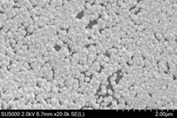 Umicore MDS - PLATUNA - Platinum coating for PTLs in PEM electrolysers - 50 nm platinum layer - 20x magnification