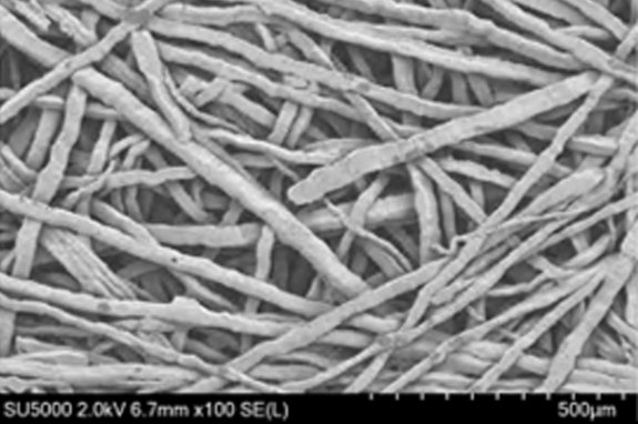 Umicore MDS - PLATUNA - Platinum coating for PTLs in PEM electrolysers - 50 nm platinum layer - 100x magnification