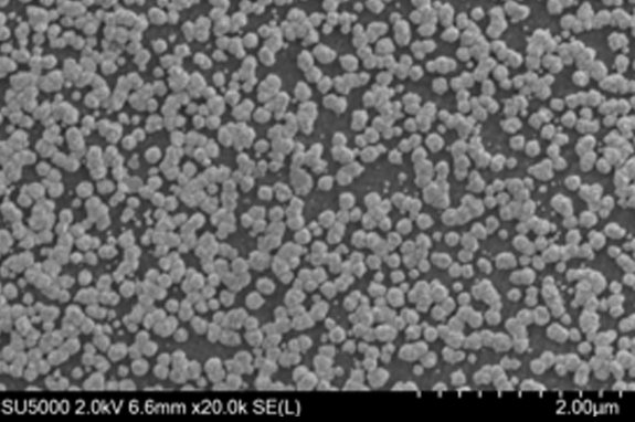 Umicore MDS - PLATUNA - Platinum coating for PTLs in PEM electrolysers - 30 nm platinum layer - 20x magnification